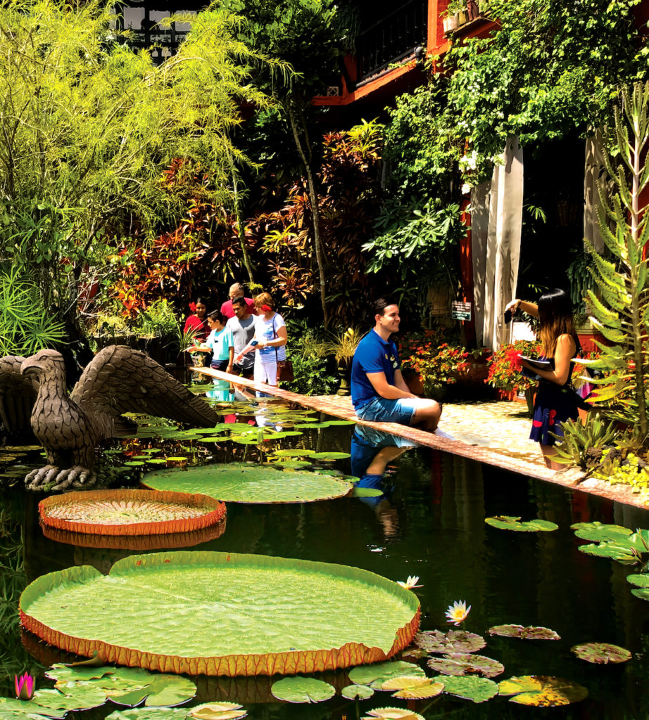 Visita guiada: Tour de Compostaje en Español/Spanish Compost Tour - Queens  Botanical Garden