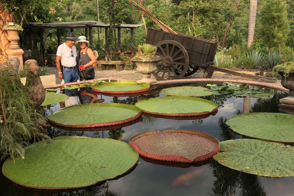 Visita guiada: Tour de Compostaje en Español/Spanish Compost Tour - Queens  Botanical Garden